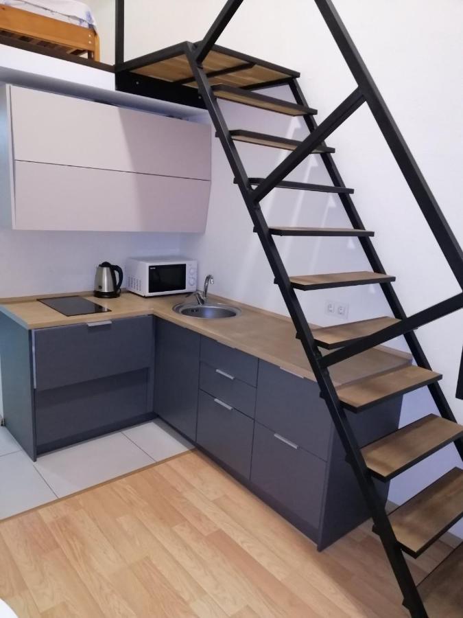 Smart House 11 Apartment Kyiv